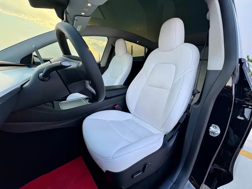 Tesla Model Y — миниатюра 12
