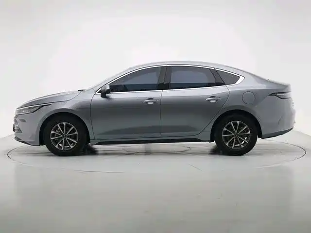 BYD Destroyer 05 2024 DM-i 55KM Luxury