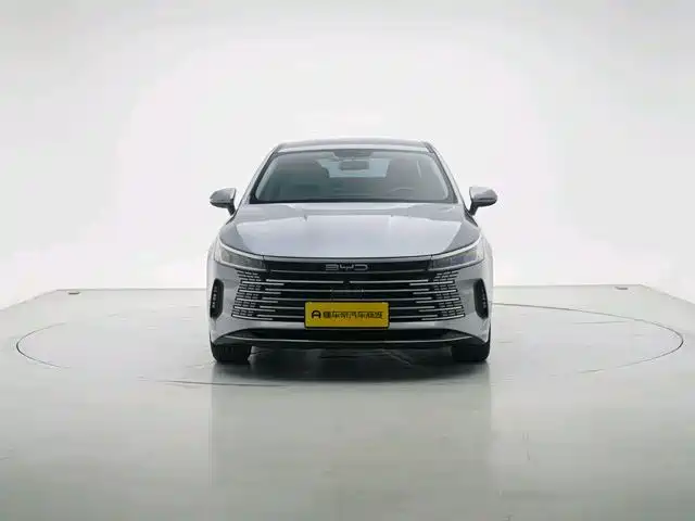 BYD Destroyer 05 2024 DM-i 55KM Luxury
