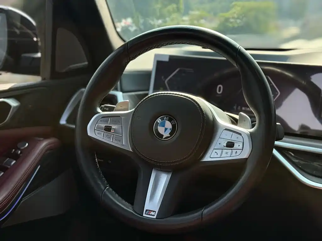 BMW X5 — миниатюра 9