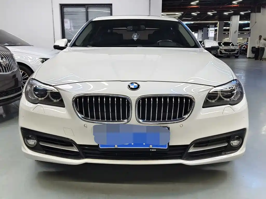 BMW 5 Series 5 2014 535Li Lead
