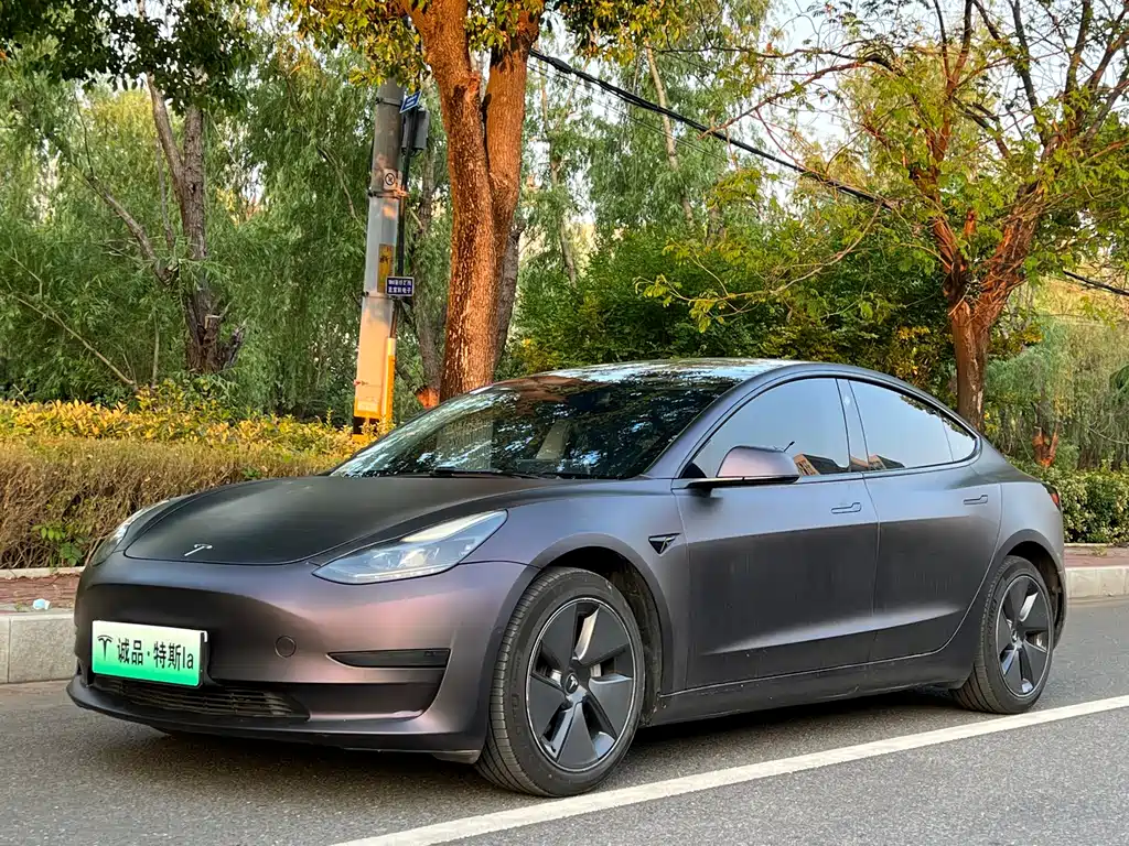 Tesla Model 3 2021