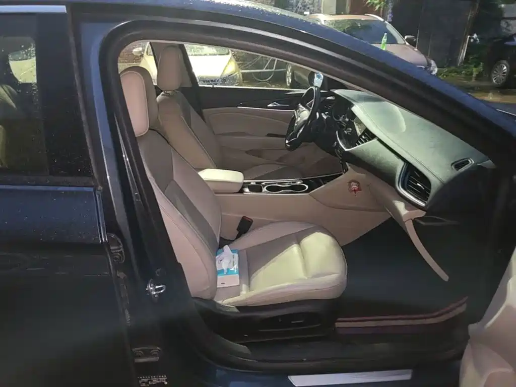 Buick Regal — миниатюра 25