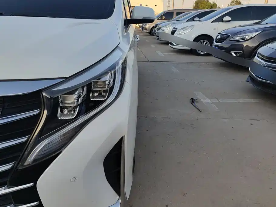 GAC Motor Trumpchi M8 — миниатюра 5