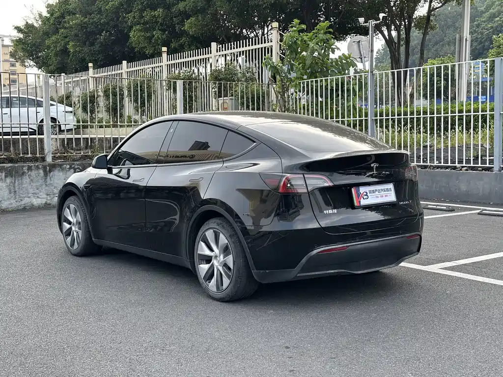 Tesla Model Y — миниатюра 5