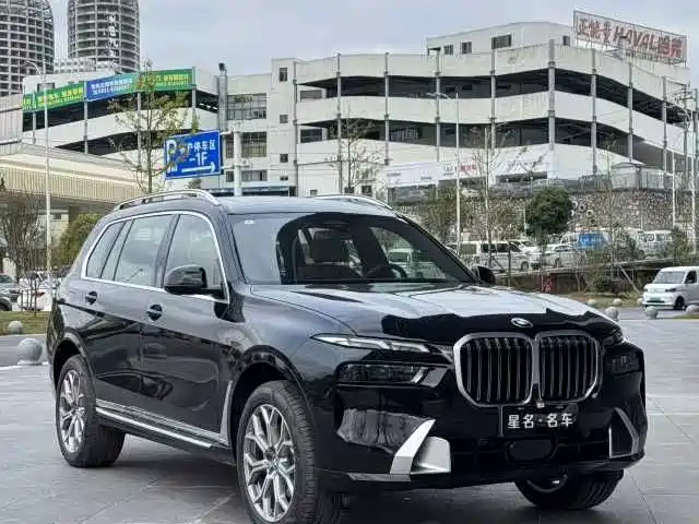 BMW X7 — миниатюра 3