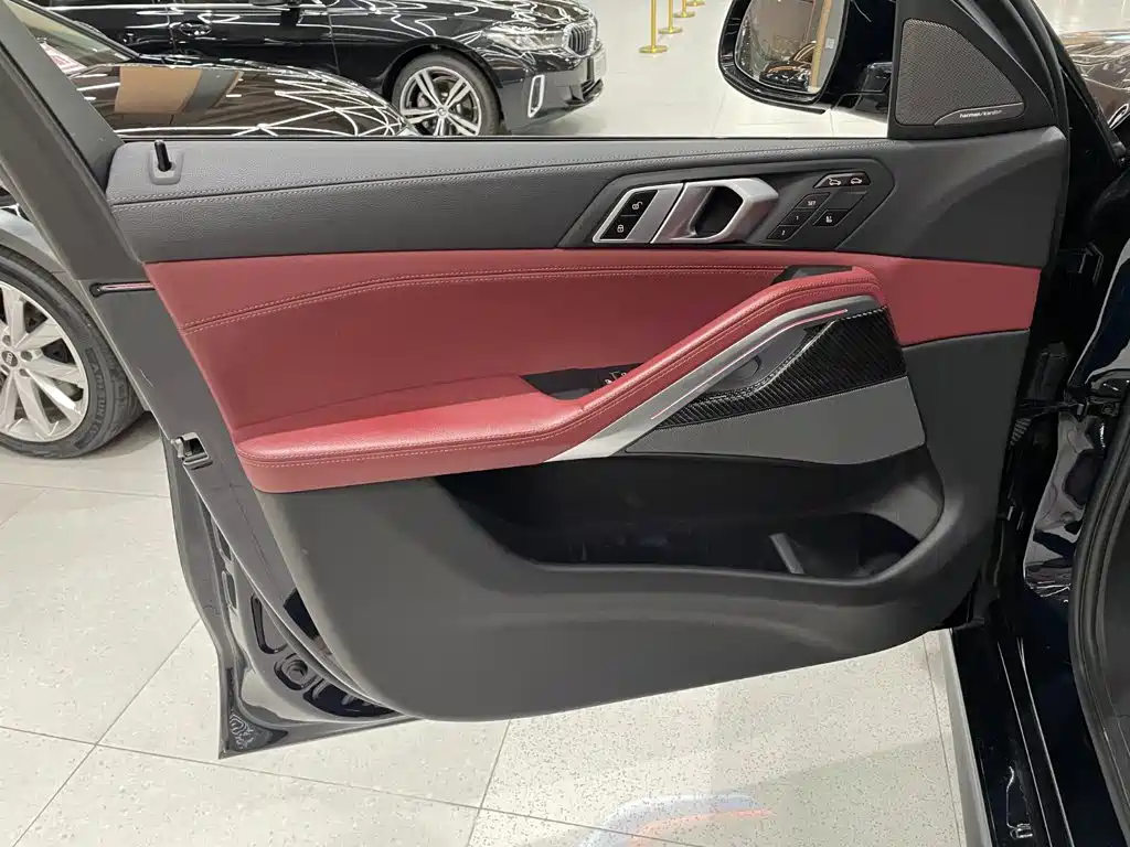 BMW X6 — миниатюра 11