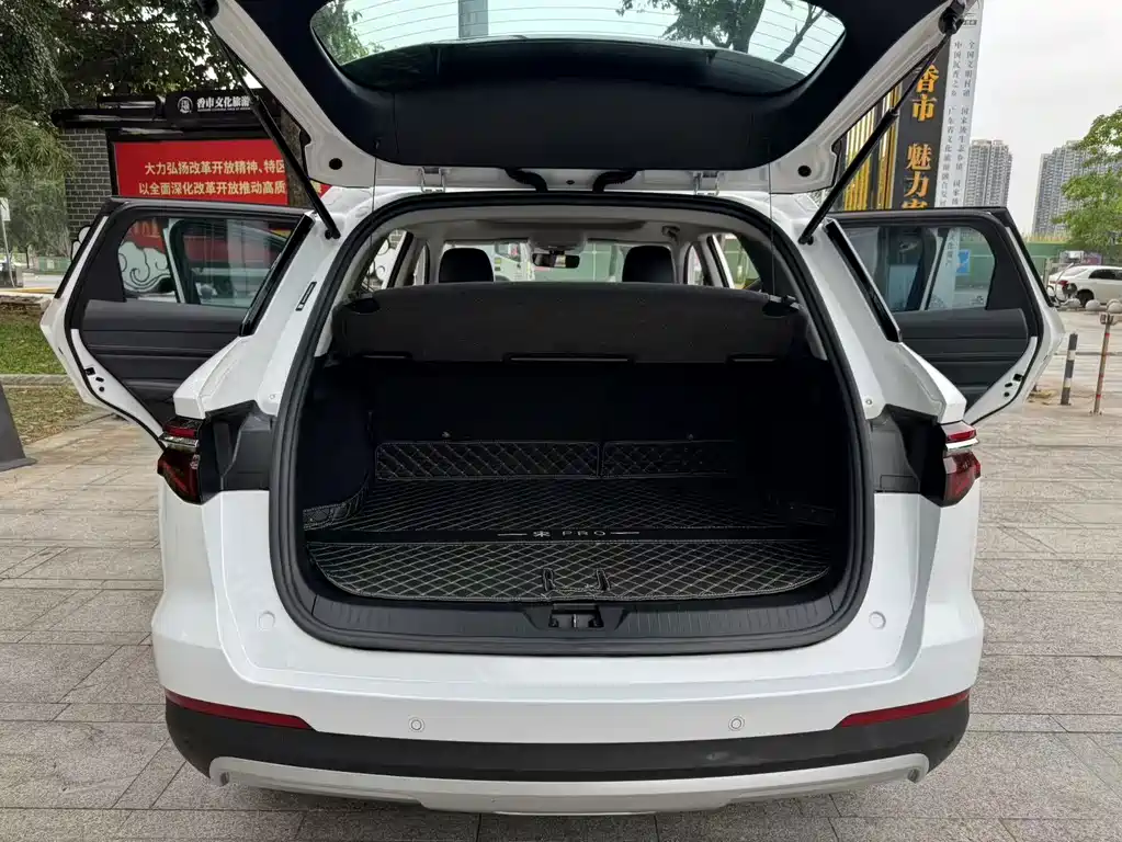 BYD Pro — миниатюра 12