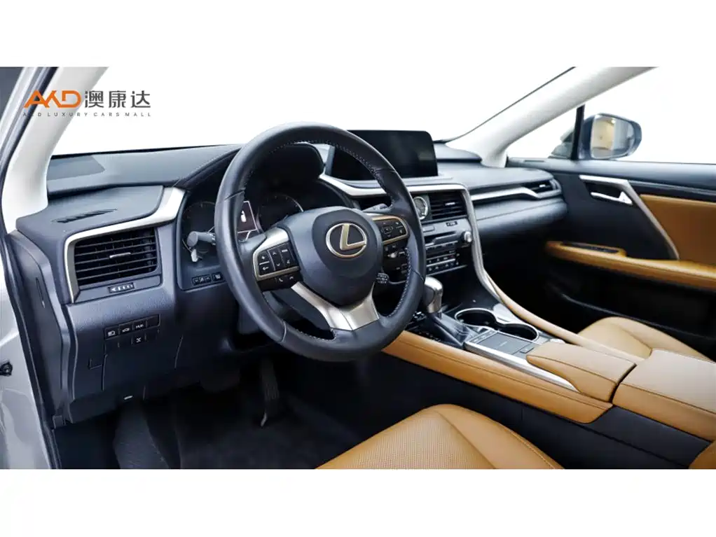 Lexus RX 2020 300 Elegant VI