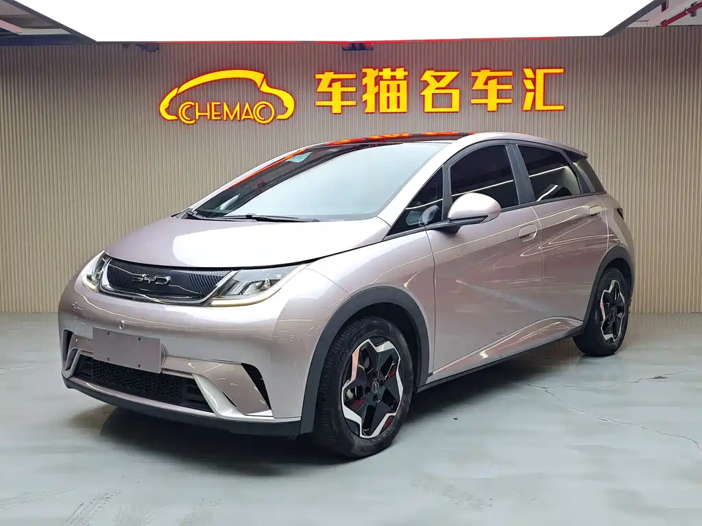 Byd Dolphin 2022
