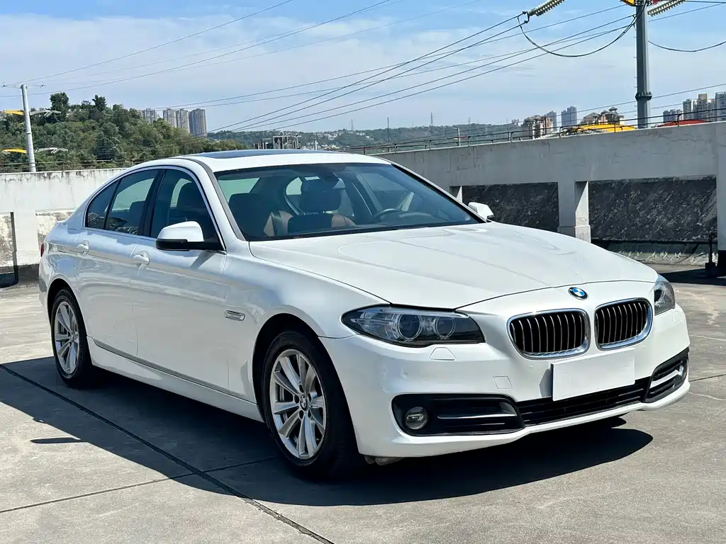 BMW 5 Series (Import) — миниатюра 3
