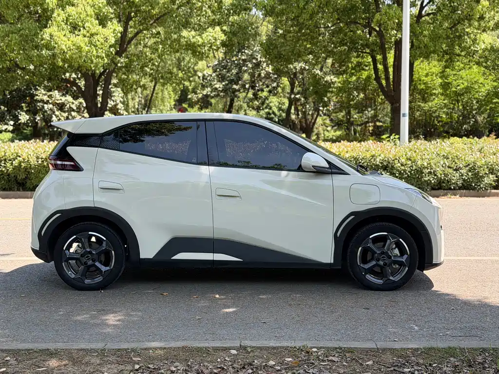 BYD Seagull 2024 305km Freedom