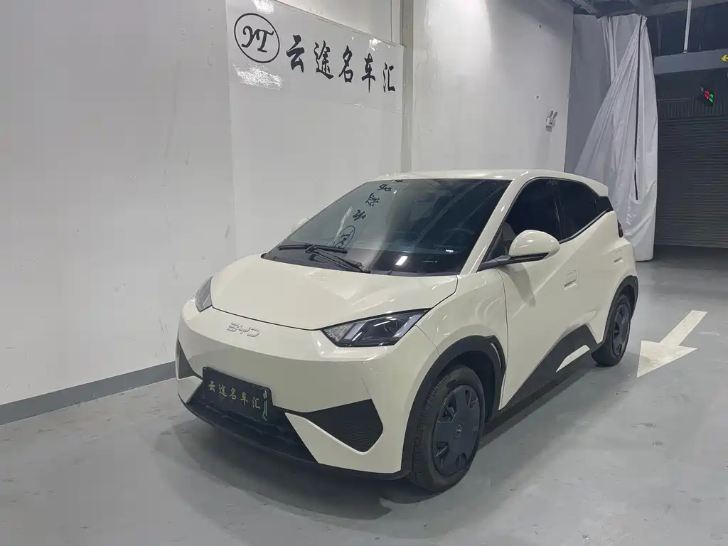 Byd Seagull 2025
