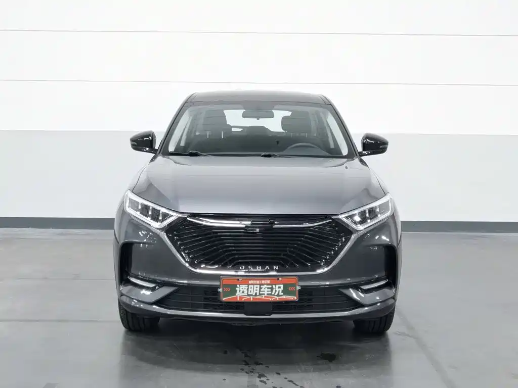 Oshan Oushang X7 — миниатюра 3