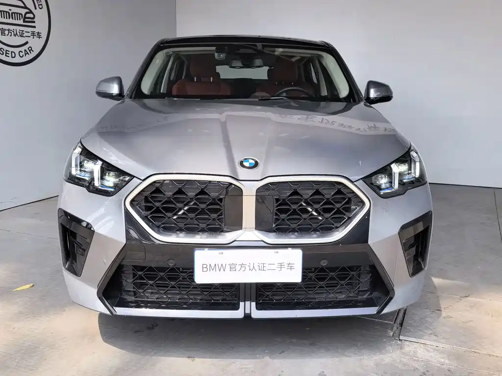 BMW X2 (Import) — миниатюра 2