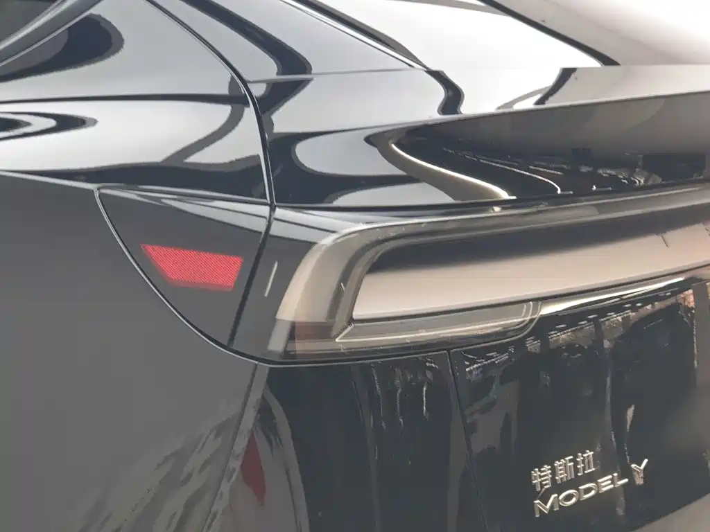Tesla Model Y — миниатюра 10