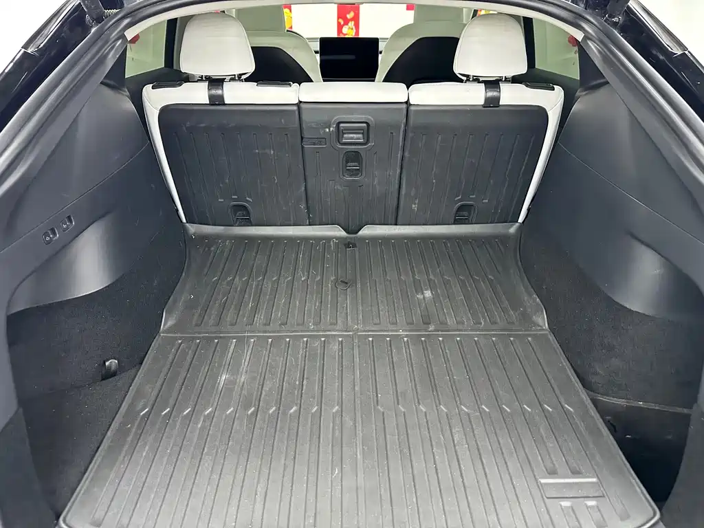 Tesla Model Y — миниатюра 24