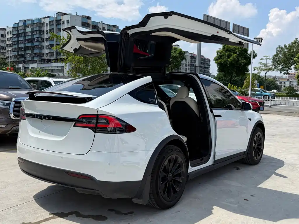 Tesla Model X — миниатюра 3