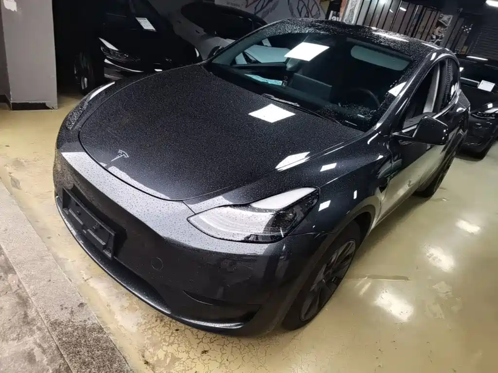 Tesla Model Y — миниатюра 2