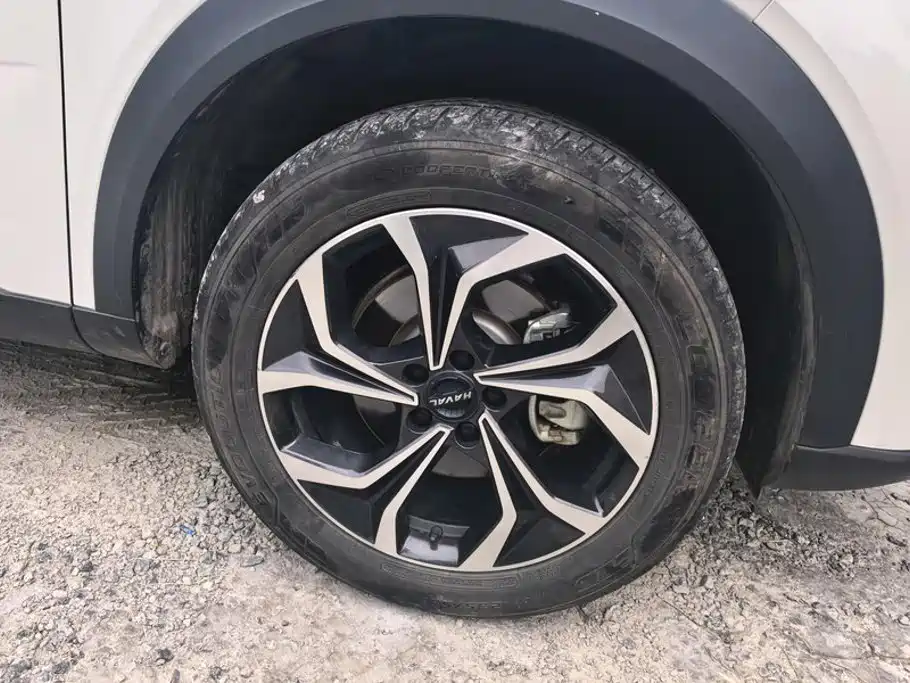 Haval Shenshou — миниатюра 6