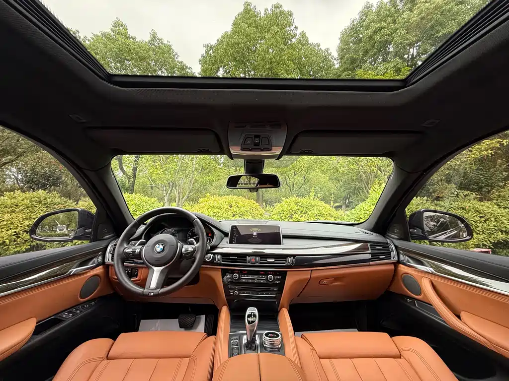 BMW X6 — миниатюра 10