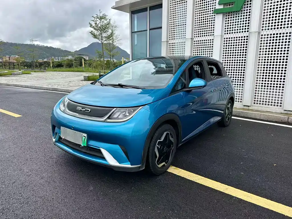 BYD Dolphin — миниатюра 20