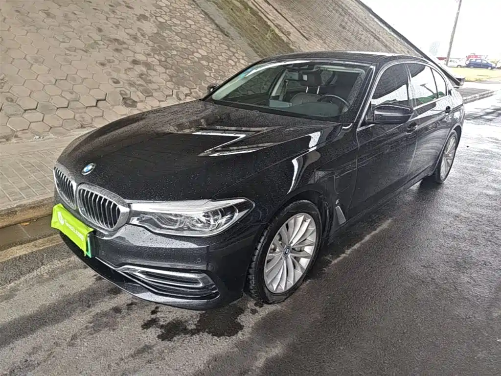 BMW 5 Series New Energy 2019