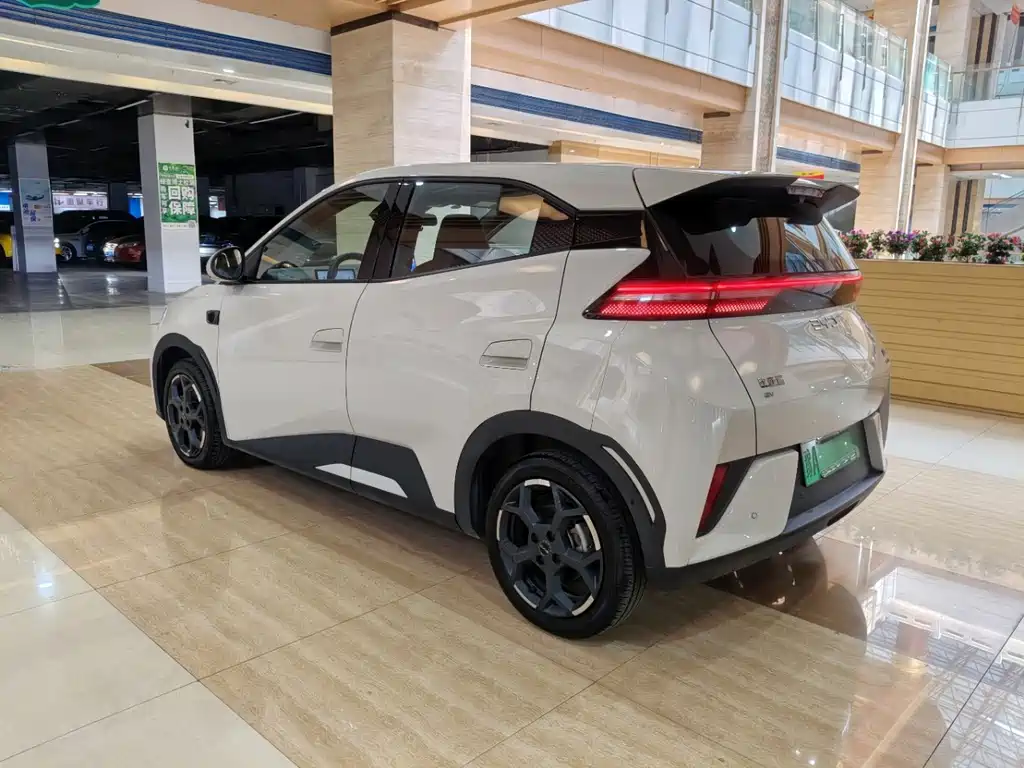 BYD Seagull 2025 Smart Drive 305km Freedom