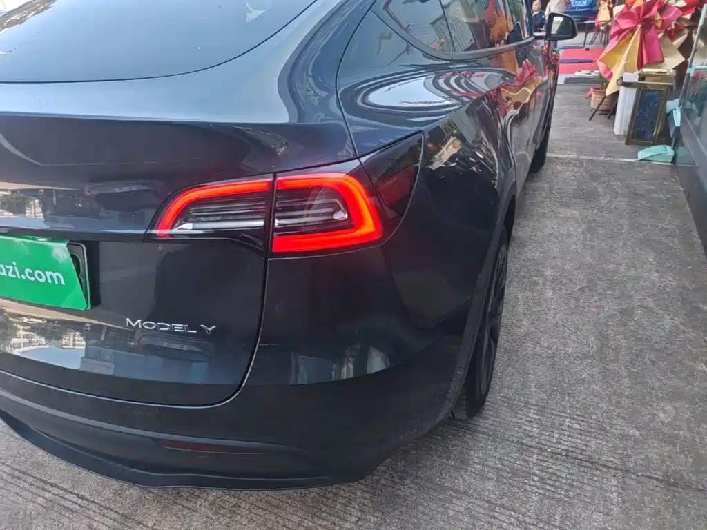 Tesla Model Y — миниатюра 8