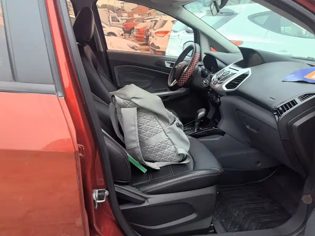 Ford Ecosport — миниатюра 25