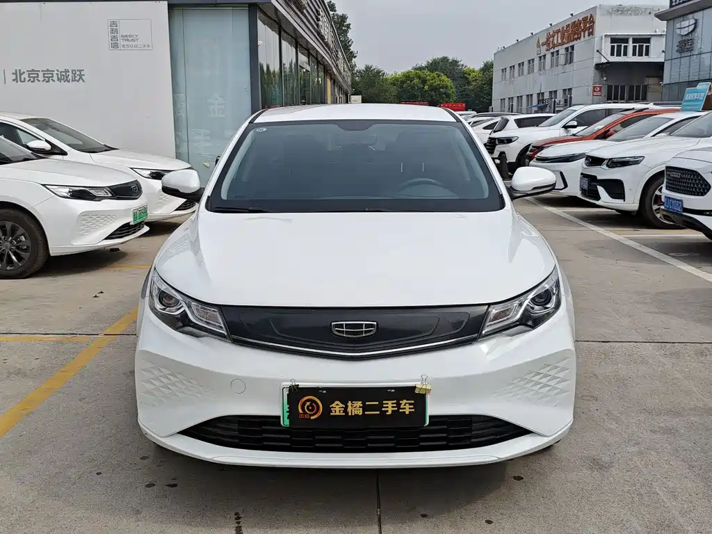 Geely New Energy — миниатюра 6