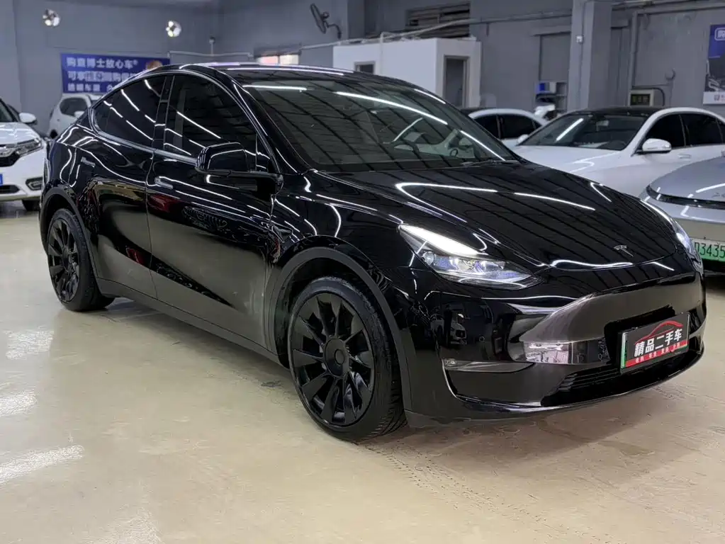 Tesla Model Y — миниатюра 3