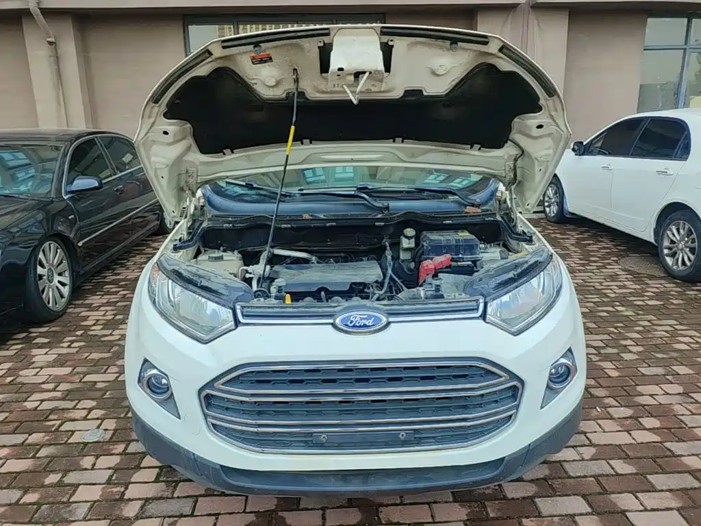 Ford Ecosport — миниатюра 20