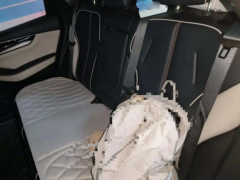 BYD Qin PLUS — миниатюра 18