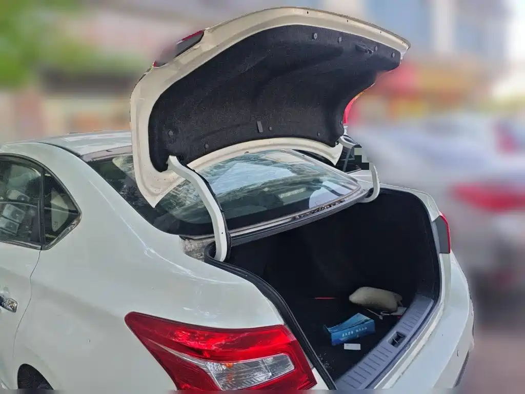 Nissan Sylphy — миниатюра 20