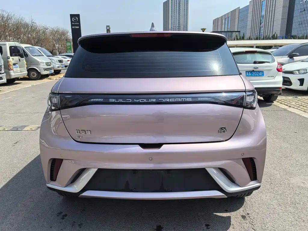 BYD Dolphin — миниатюра 6