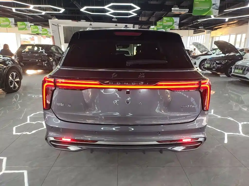Hongqi Hongqi E-HS9 — миниатюра 6
