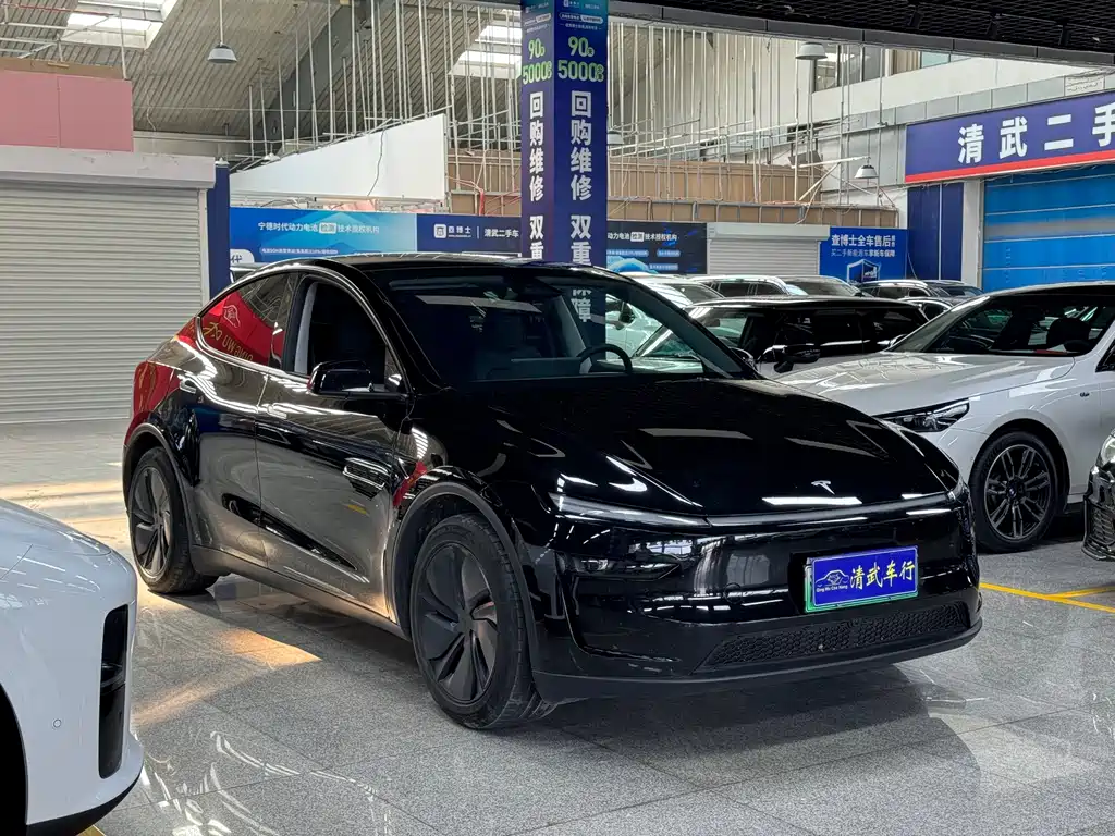 Tesla Model Y — миниатюра 3