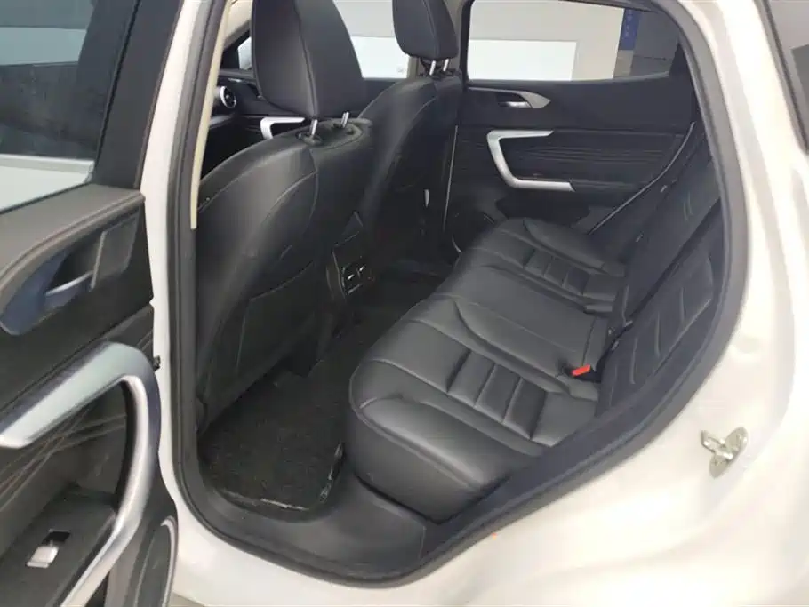 WEI PAI WEI BRAND VV5