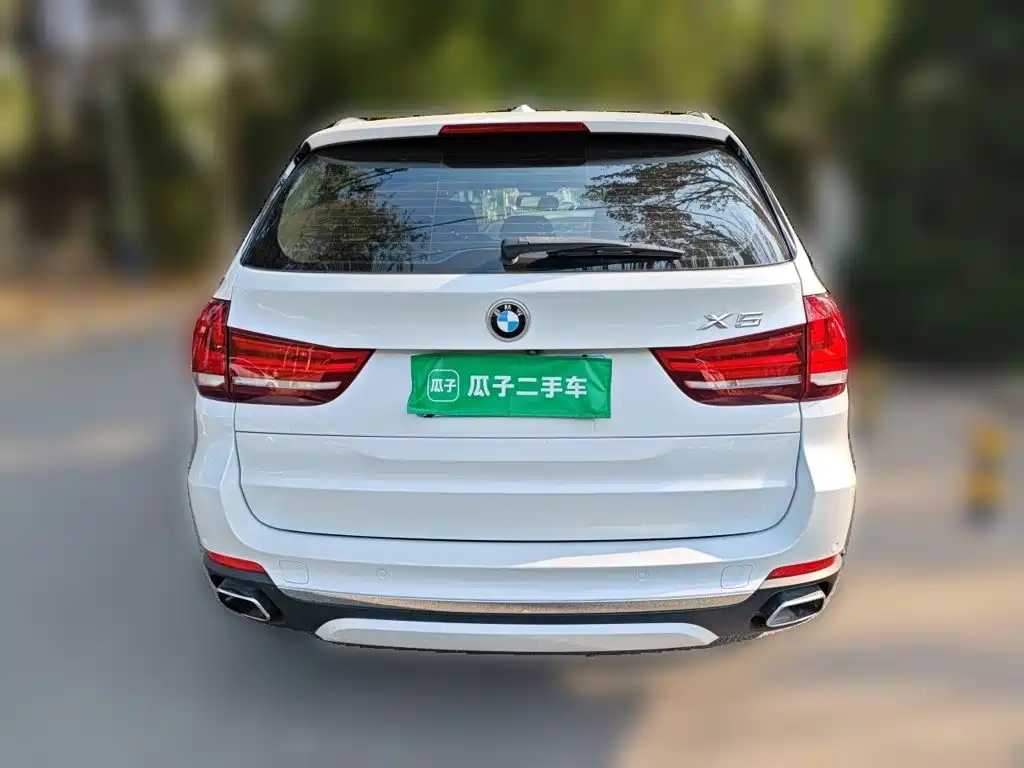 BMW X5 (Import) — миниатюра 5