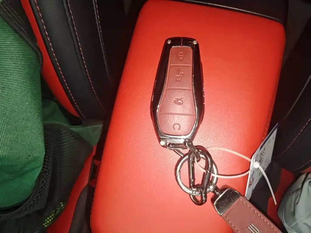 BYD E2 2021 Luxury