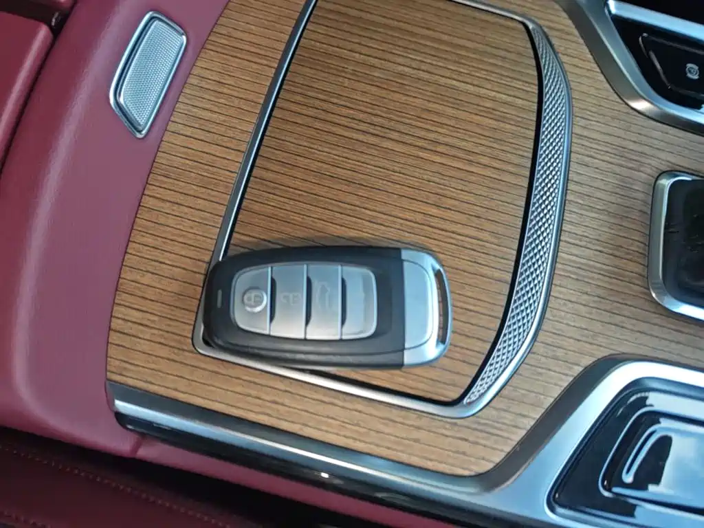 Hongqi Hongqi E-HS9 — миниатюра 9