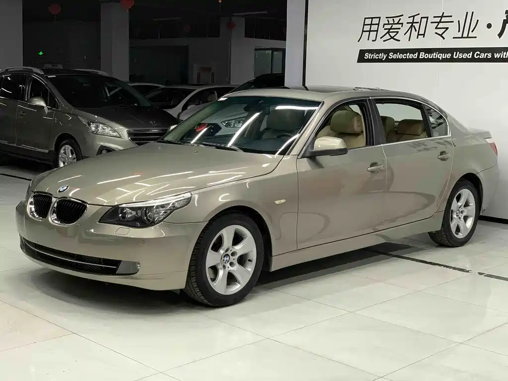 BMW 5 Series 2010 520Li Leading Type