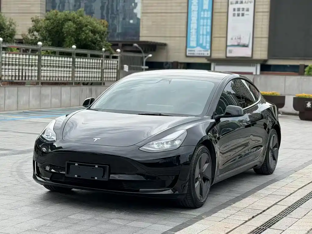 Tesla Model 3 2021