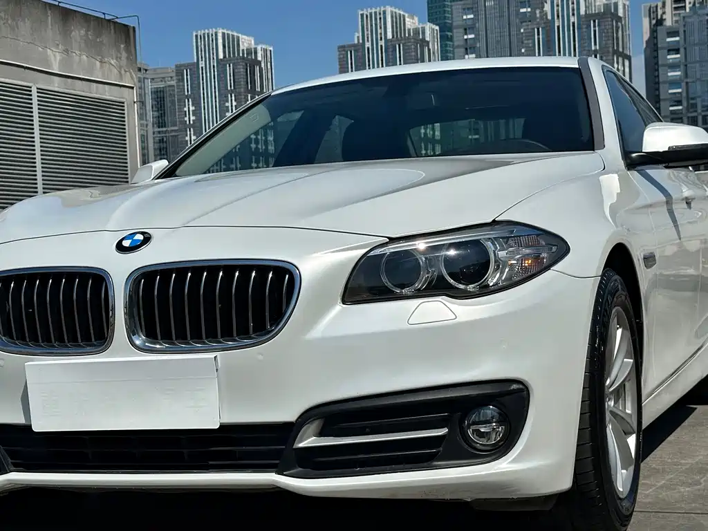 BMW 5 Series (Import) — миниатюра 5