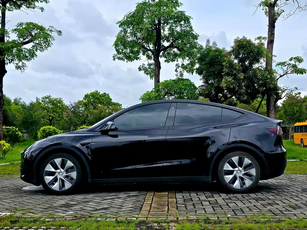 Tesla Model Y — миниатюра 4
