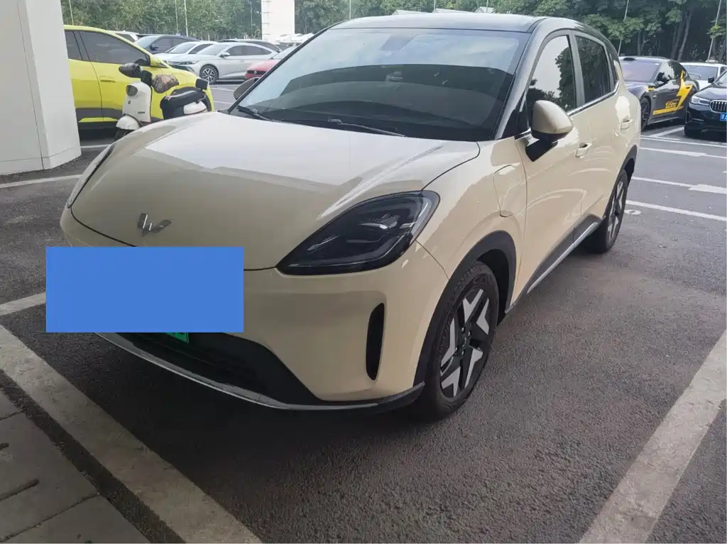 Wuling BinguoS S 2025 430km Flagship