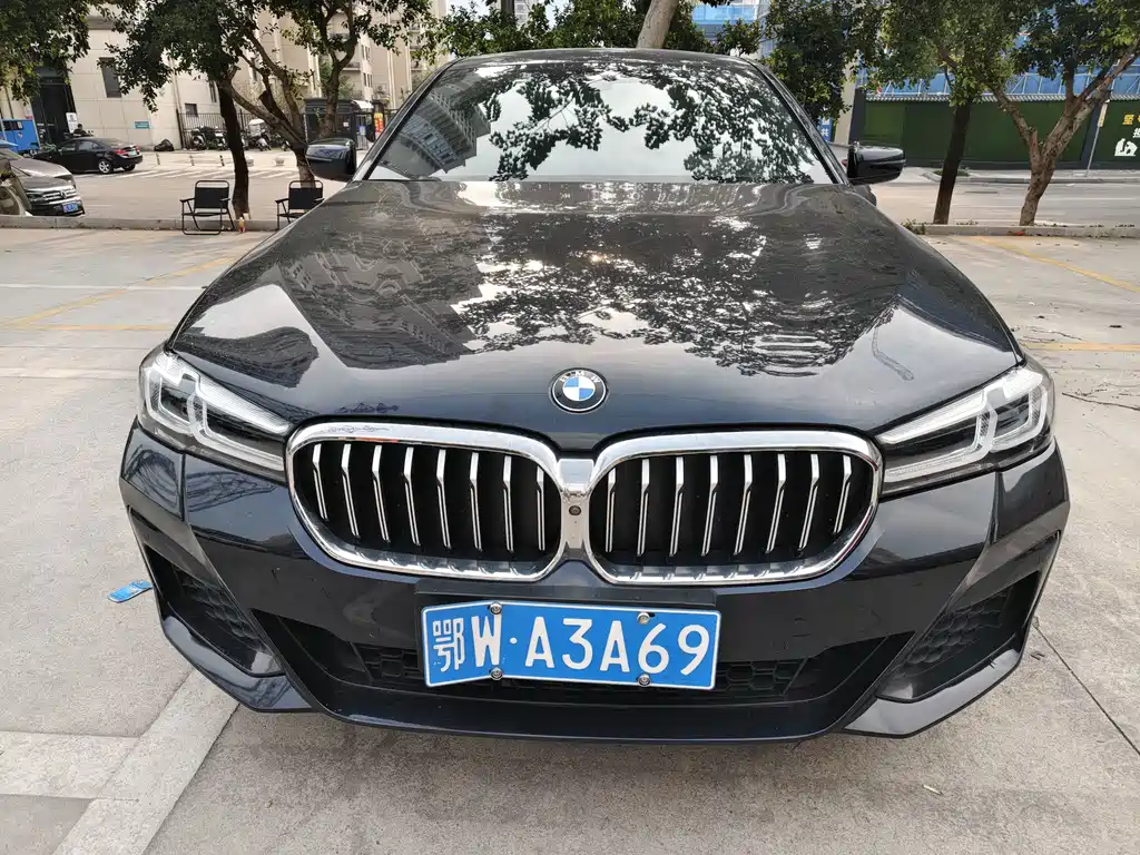 BMW 5 Series — миниатюра 2