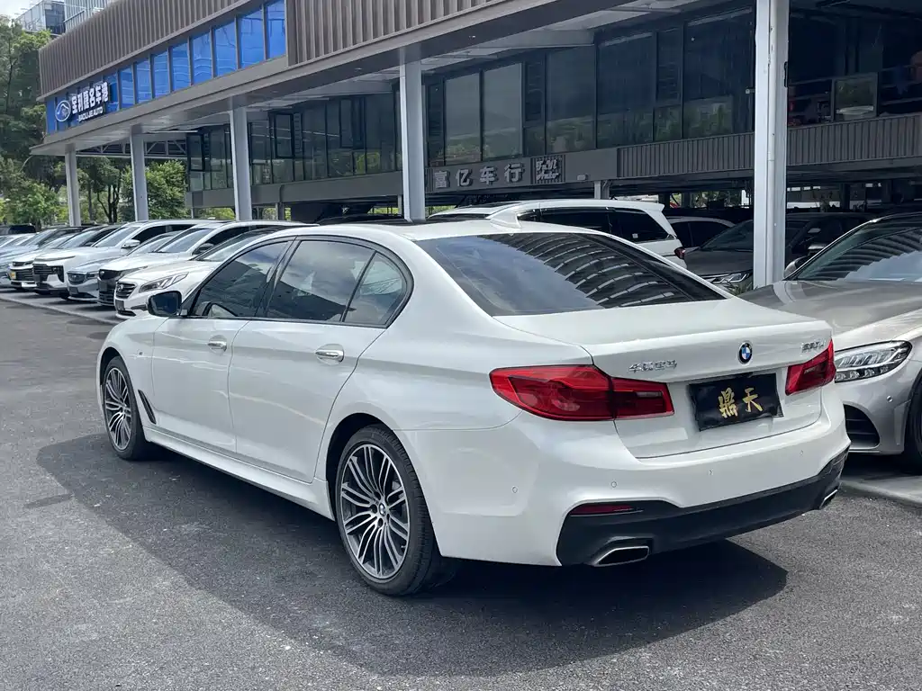 BMW 5 Series 5 2018 530Li Premium M Sport