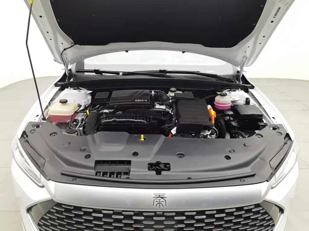 BYD Qin Plus PLUS 2023 Champion DM-i 55KM Lead